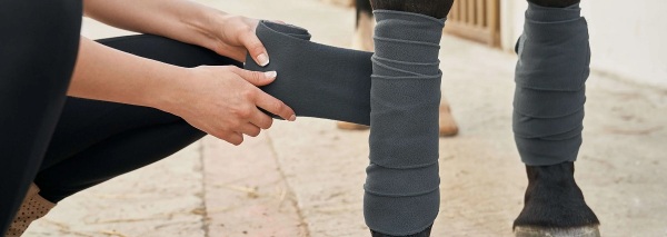Horse bandages